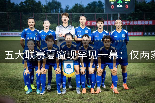 五大联赛夏窗现罕见一幕：仅两家俱乐部零引援陷入困局