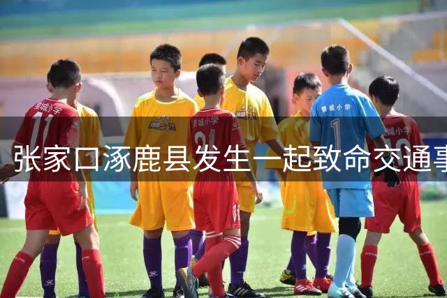 张家口涿鹿县发生一起致命交通事故 肇事方已被控制