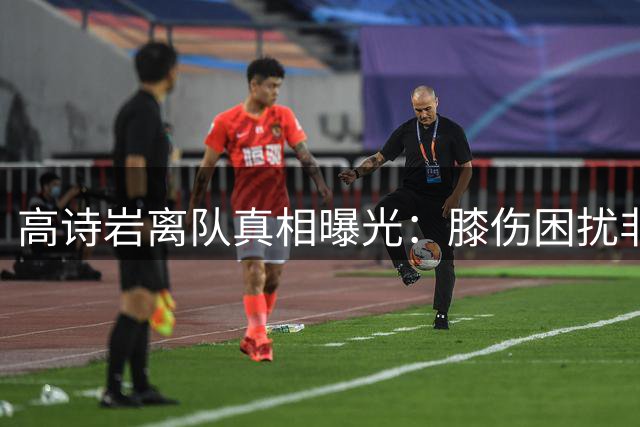 高诗岩离队真相曝光：膝伤困扰非实力问题，舆论压力成职业球员新考验